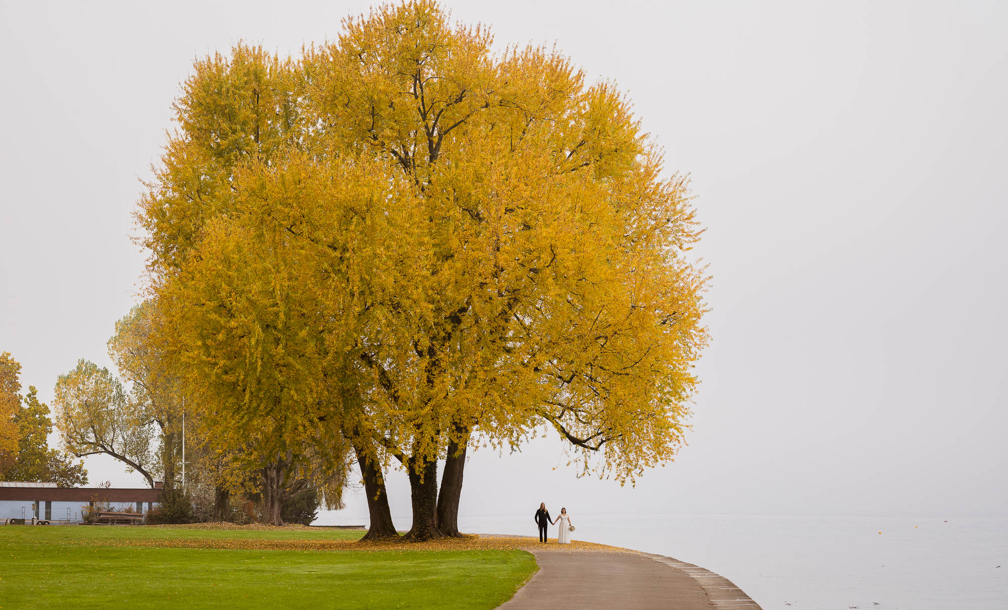 Export x3 1DX29340 Pano Hochzeit 2020 Monika & Sharru 2